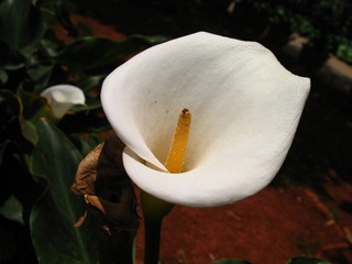 2007.04.30 昆明老街 004.jpg