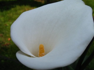 2007.04.30 昆明老街 011.jpg