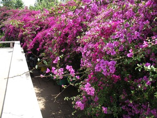 2007.04.30 昆明老街 022.jpg