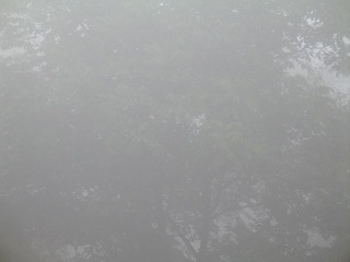 2007 香格里拉之旅 037.jpg