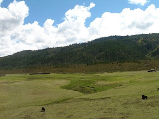 2007 香格里拉之旅 214.jpg