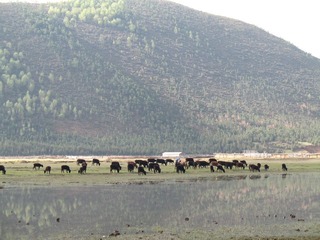 2007 香格里拉之旅 279.jpg