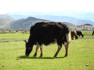 2007 香格里拉之旅 310.jpg