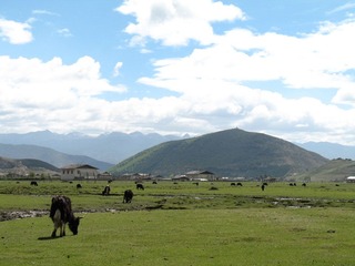 2007 香格里拉之旅 314.jpg