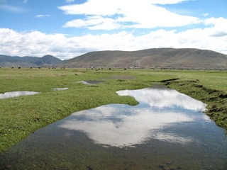 2007 香格里拉之旅 318.jpg