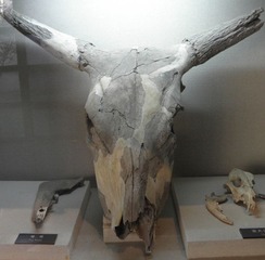 PA280745.JPG