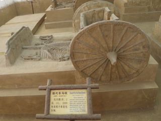 PA280787.JPG