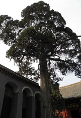 PA280890.JPG