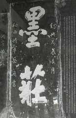 PA280896.JPG