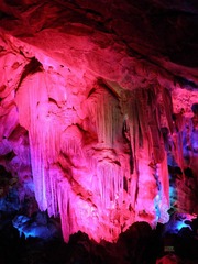 PA290940.JPG
