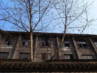 RIMG0016.jpg