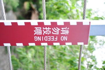 DSC_3366.JPG