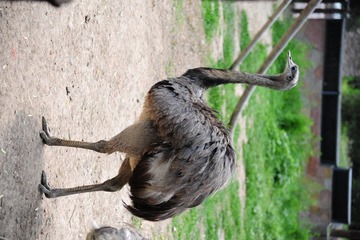 DSC_3371.JPG