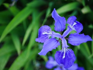 A70D2327-FB50-49BF-9F46-77B6532F94DA/L0/001