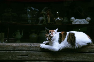 2011.5.2 570