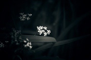 2011.5.2 255