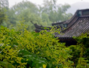 _SXA0421-2