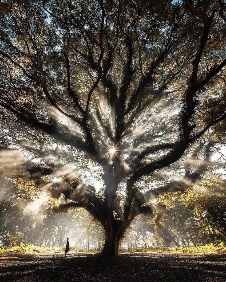 景色十分壮观充分感受到大自然的鬼斧神工