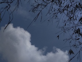 188