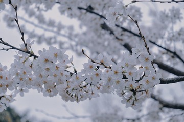 B90098BE-7E76-48E2-A1EF-26DB48ABDDED/L0/001
