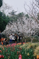 0A2303DB-CD1F-4EA2-A3EE-F21089EB3FFF/L0/001
