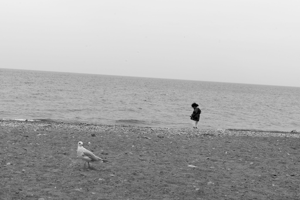 安大略湖,加拿大, 2014-2