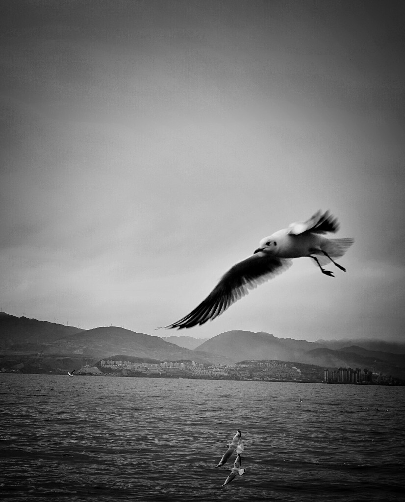 洱海,云南,2017