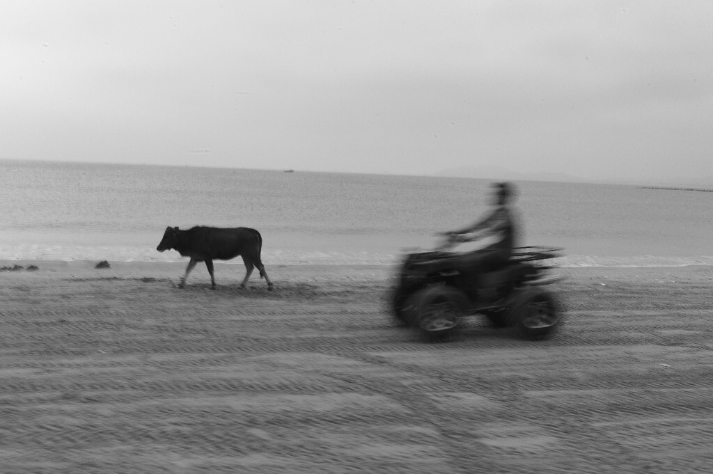 双月湾,惠州,2015
