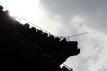 290441