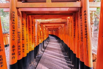 DSC_6444-编辑