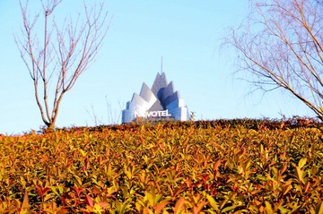 DSC_1933.jpg