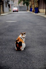 DSC_1435.jpg