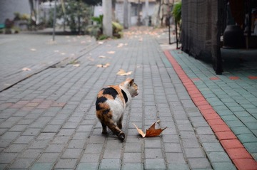 DSC_1691.jpg