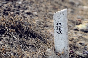 DSC_2795-M.jpg
