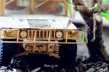 DSC_2838-M.jpg