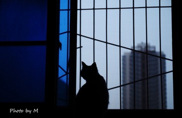DSC_3082-M.jpg