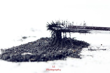DSC_3740-M.jpg