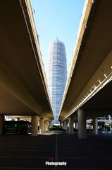 DSC_5158-M.jpg