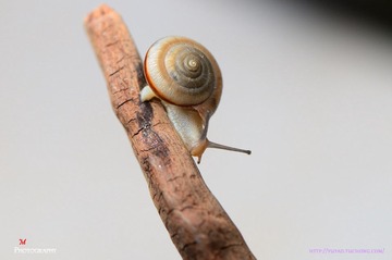 DSC_5349-M.jpg