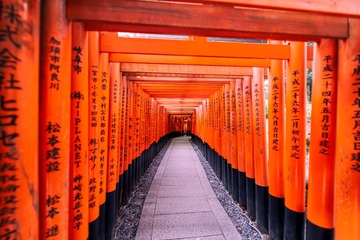 DSC_6430-编辑