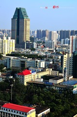 DSC_8266-M.jpg