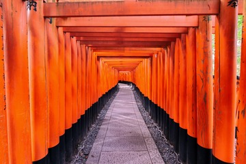 DSC_6441-编辑