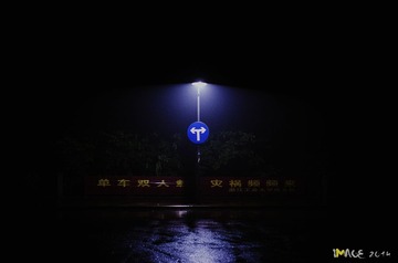 DSC_2398-M
