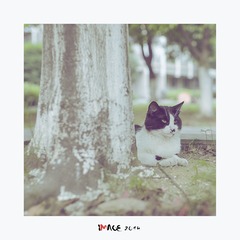 DSC_2994-M