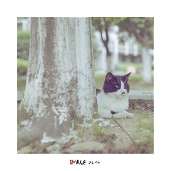 DSC_2994-M