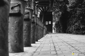 DSC_3153-M