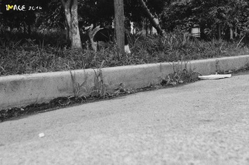 DSC_3177-M