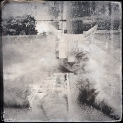 HIP_425708226.776967
