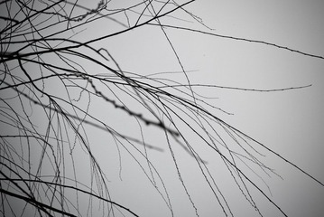 P1040116.jpg