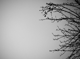 P1040136.jpg
